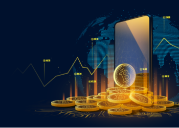 The Volatility of the Cryptocurrency Market: A Focus for Investors
