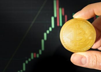 The Variations in Cryptocurrency Taxation Policies Across Different Countries