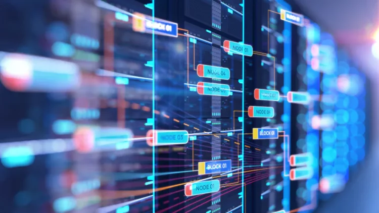 How to Observe Global Social Dynamics Through the On-Chain Lens