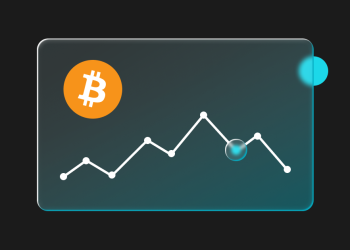 Bitcoin Price Volatility and Its Impact on the Entire Market Trend